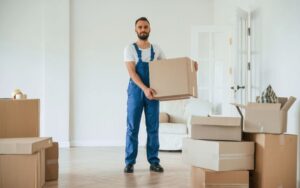 Rogue Removal Companies London